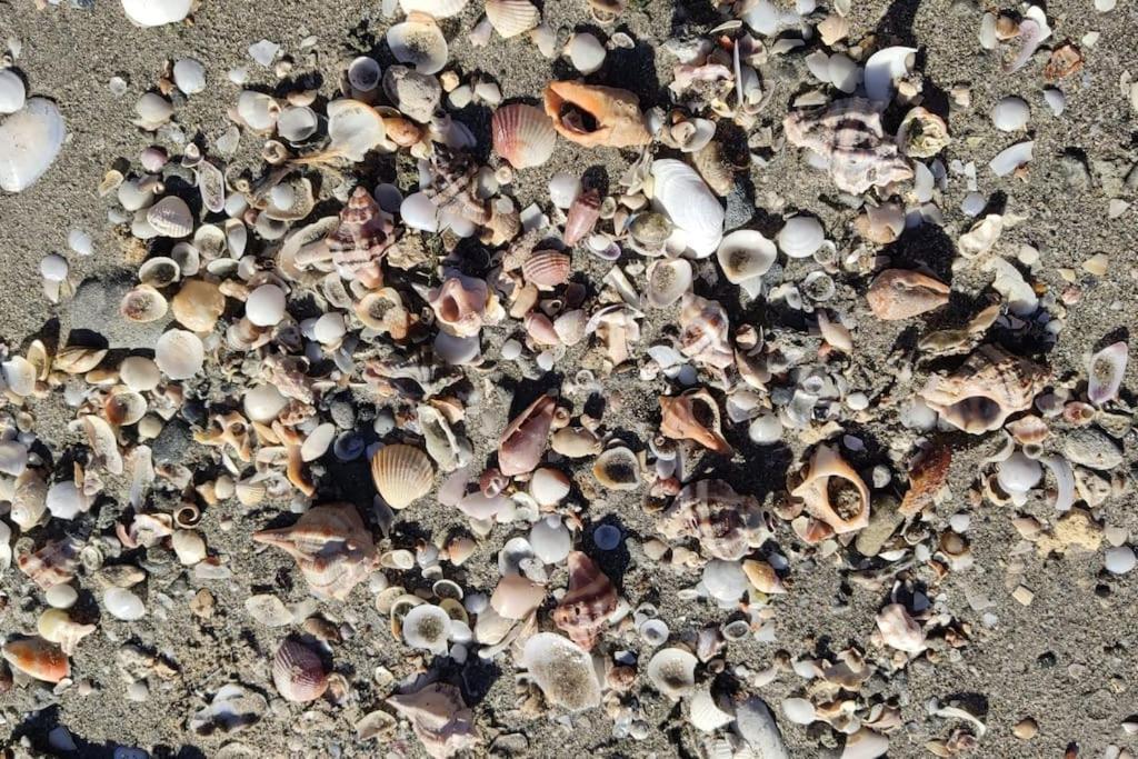 Santa Pola Con Tres Dormitorios Playa Levante Kültér fotó